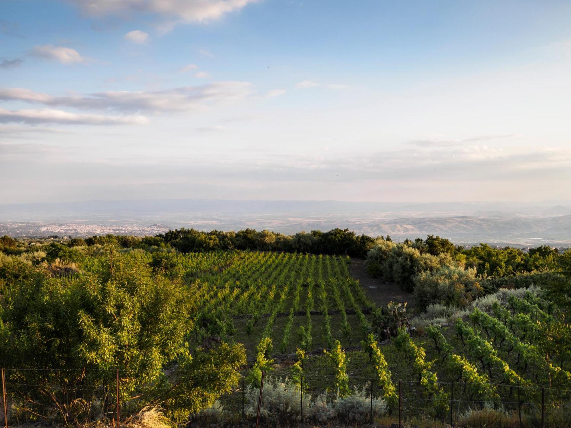 Podere Dell'Etna Segreta - Essential Nature Hotel & Glamping Biancavilla Buitenkant foto