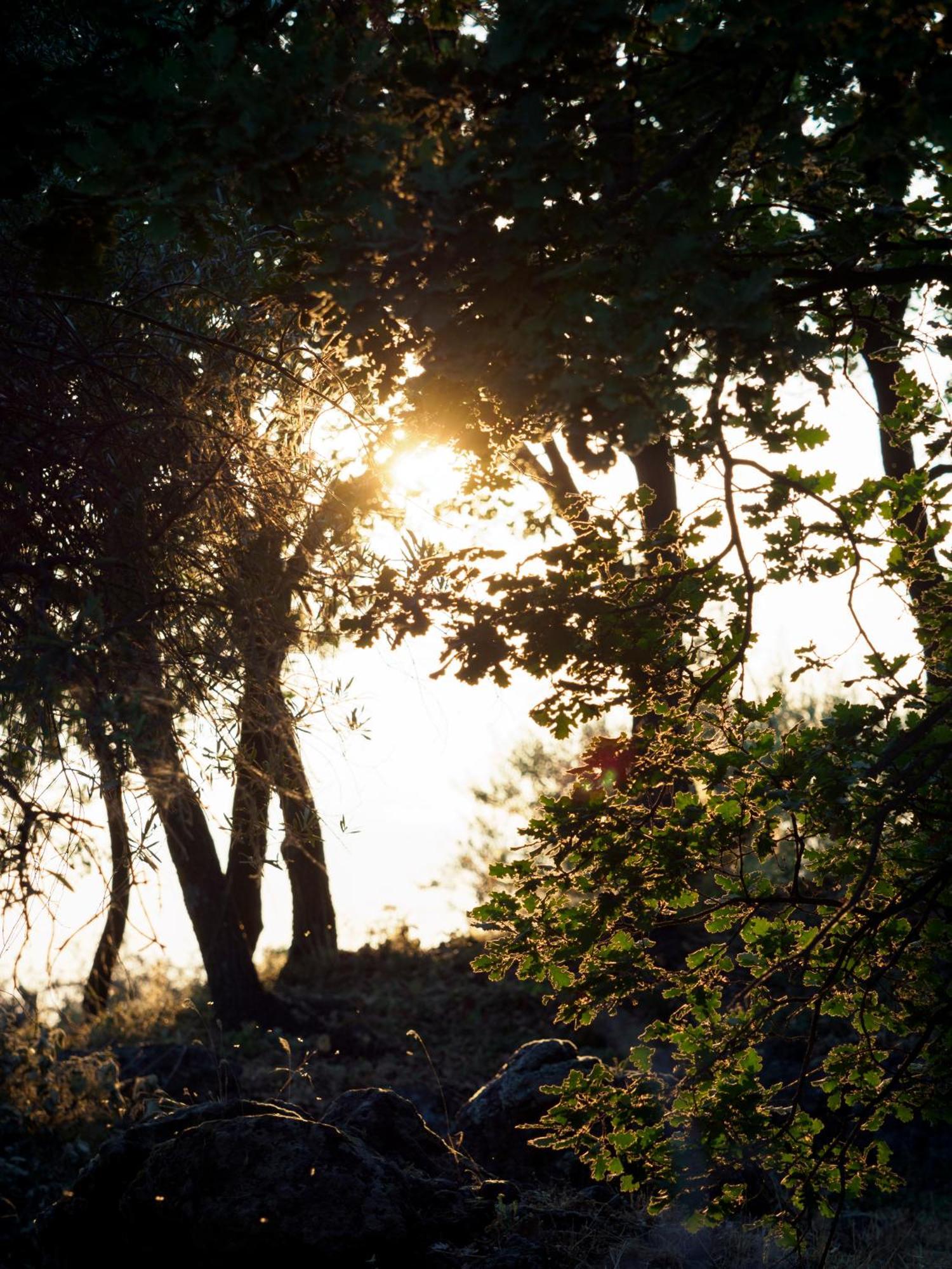 Podere Dell'Etna Segreta - Essential Nature Hotel & Glamping Biancavilla Buitenkant foto