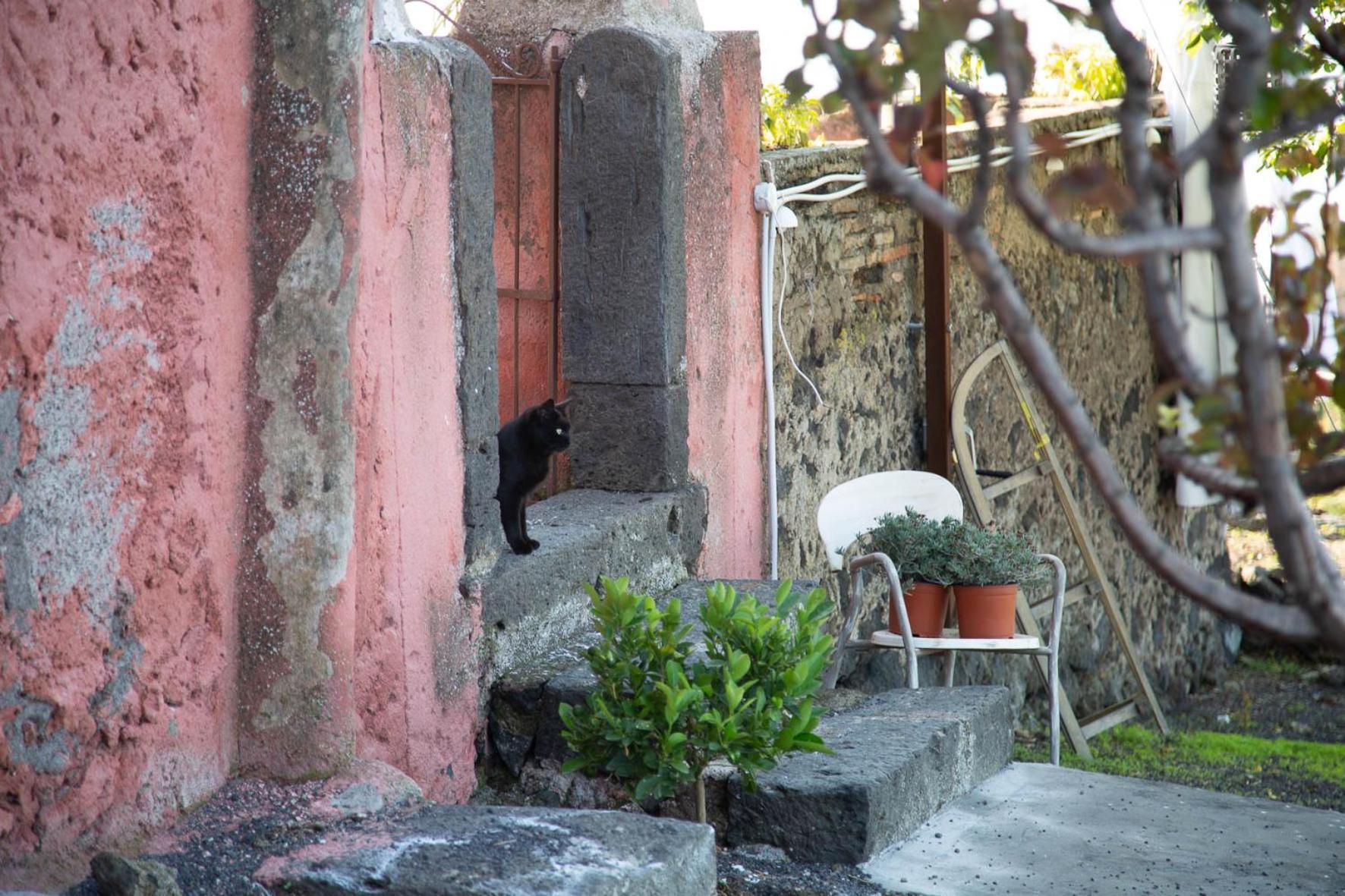 Podere Dell'Etna Segreta - Essential Nature Hotel & Glamping Biancavilla Buitenkant foto